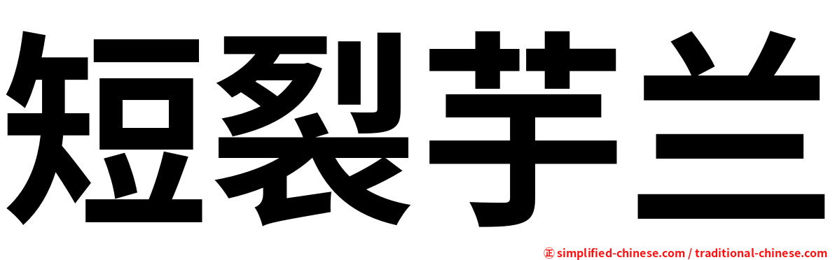 短裂芋兰