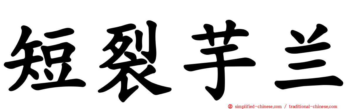 短裂芋兰