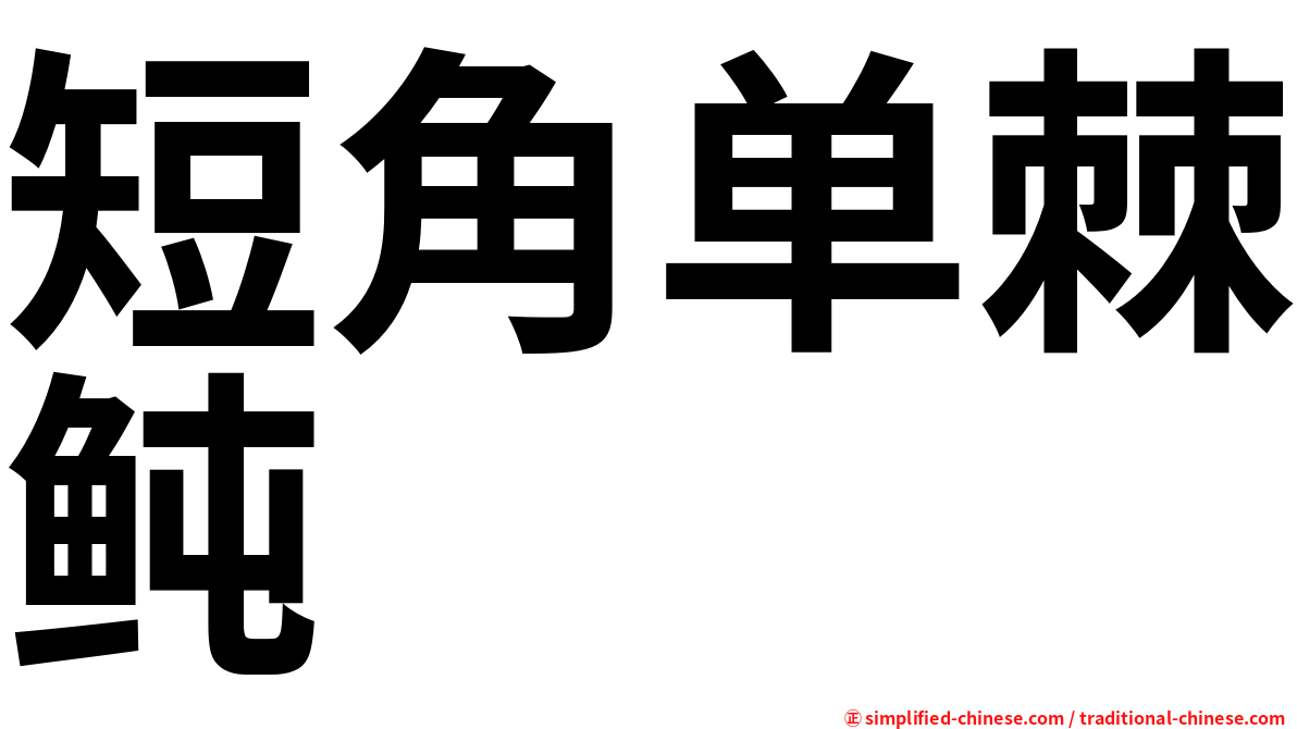 短角单棘鲀