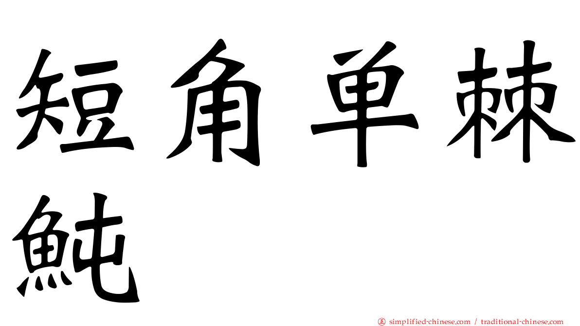 短角单棘鲀