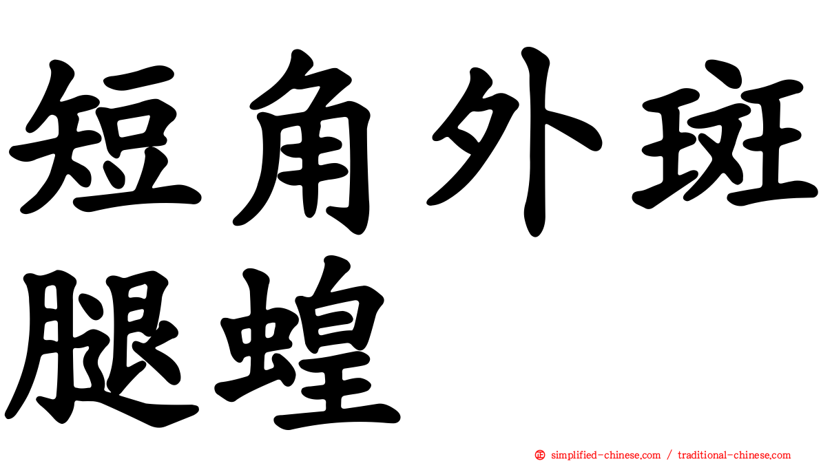 短角外斑腿蝗