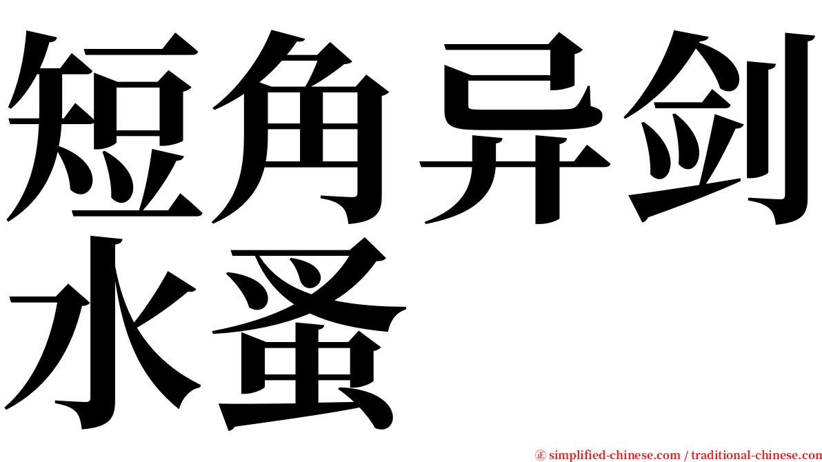 短角异剑水蚤 serif font