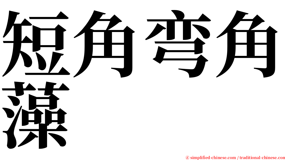 短角弯角藻 serif font