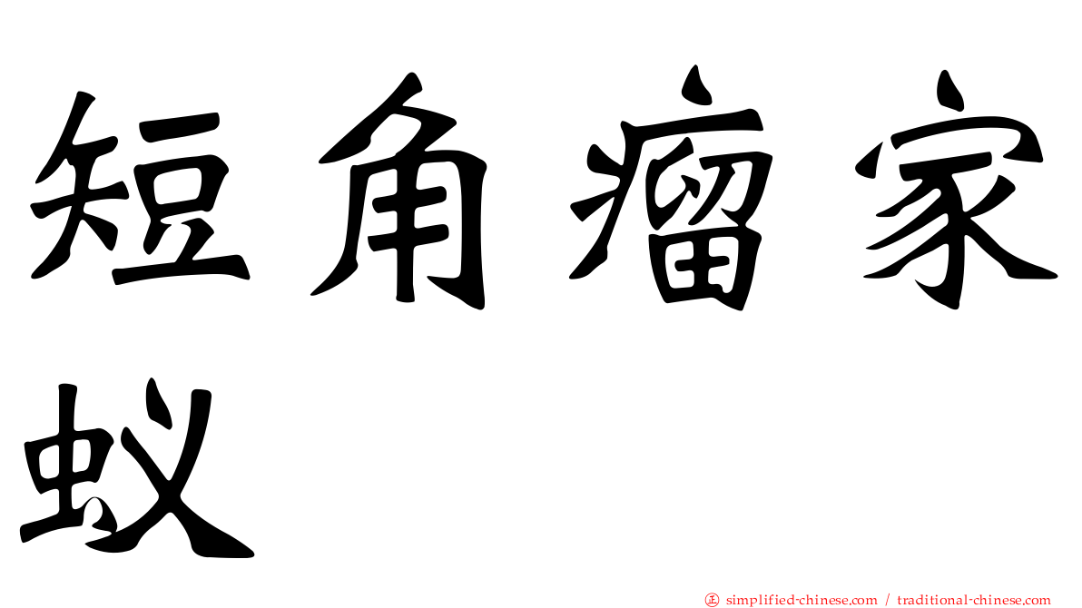 短角瘤家蚁