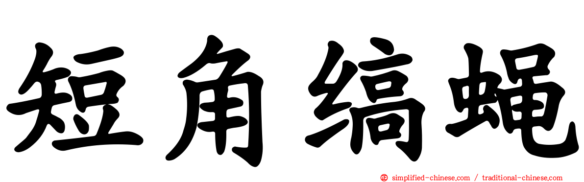 短角缟蝇