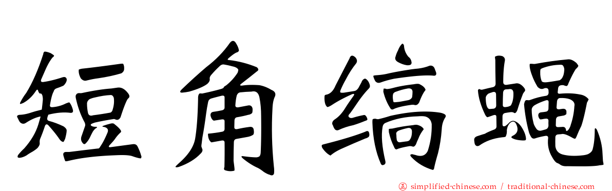 短角缟蝇