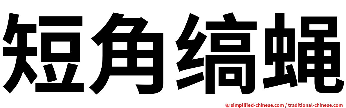 短角缟蝇