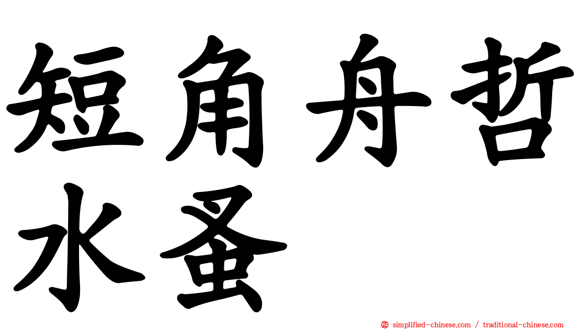 短角舟哲水蚤