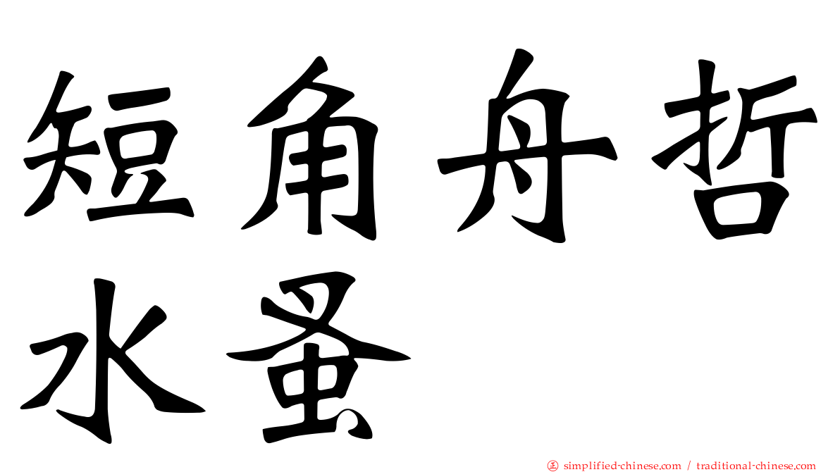 短角舟哲水蚤