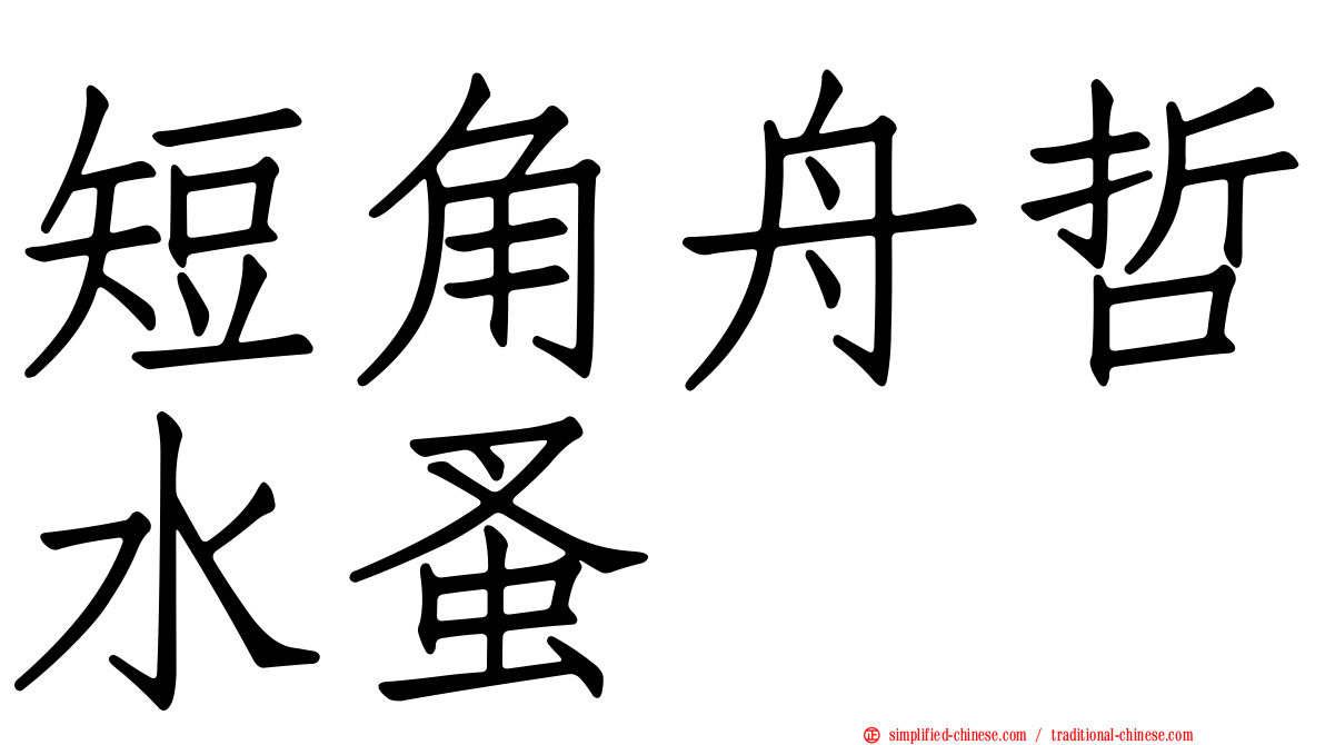 短角舟哲水蚤