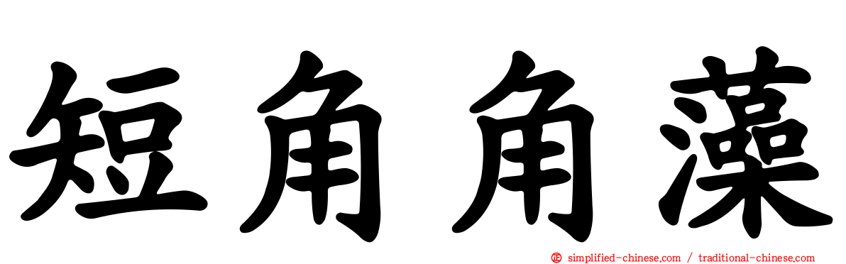 短角角藻