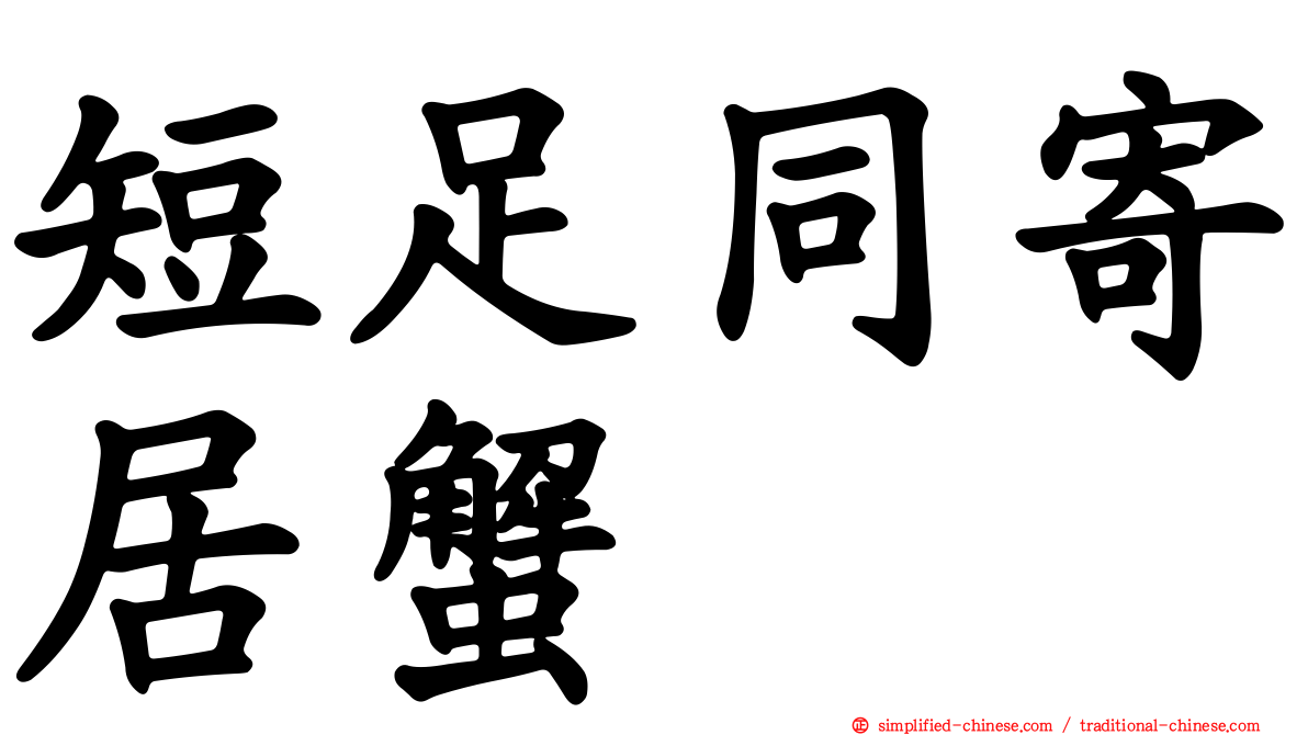 短足同寄居蟹