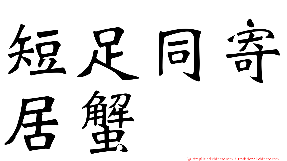 短足同寄居蟹
