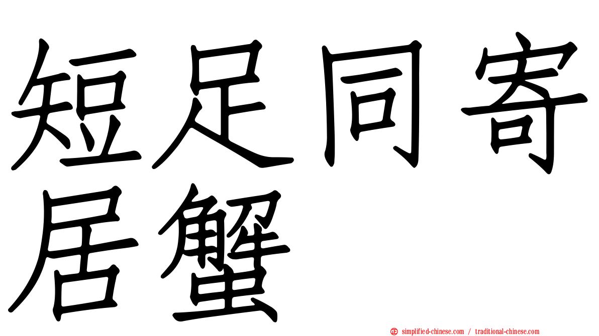 短足同寄居蟹