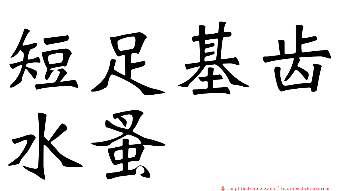 短足基齿水蚤