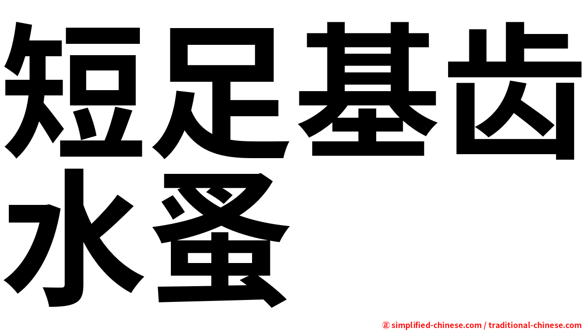 短足基齿水蚤