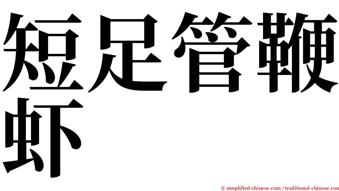 短足管鞭虾 serif font