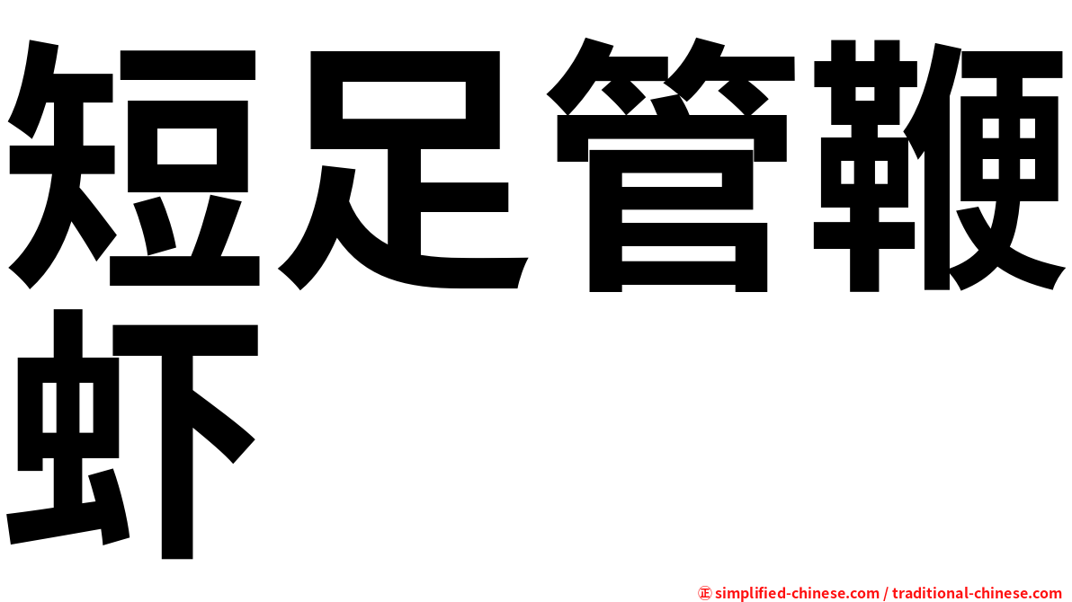 短足管鞭虾