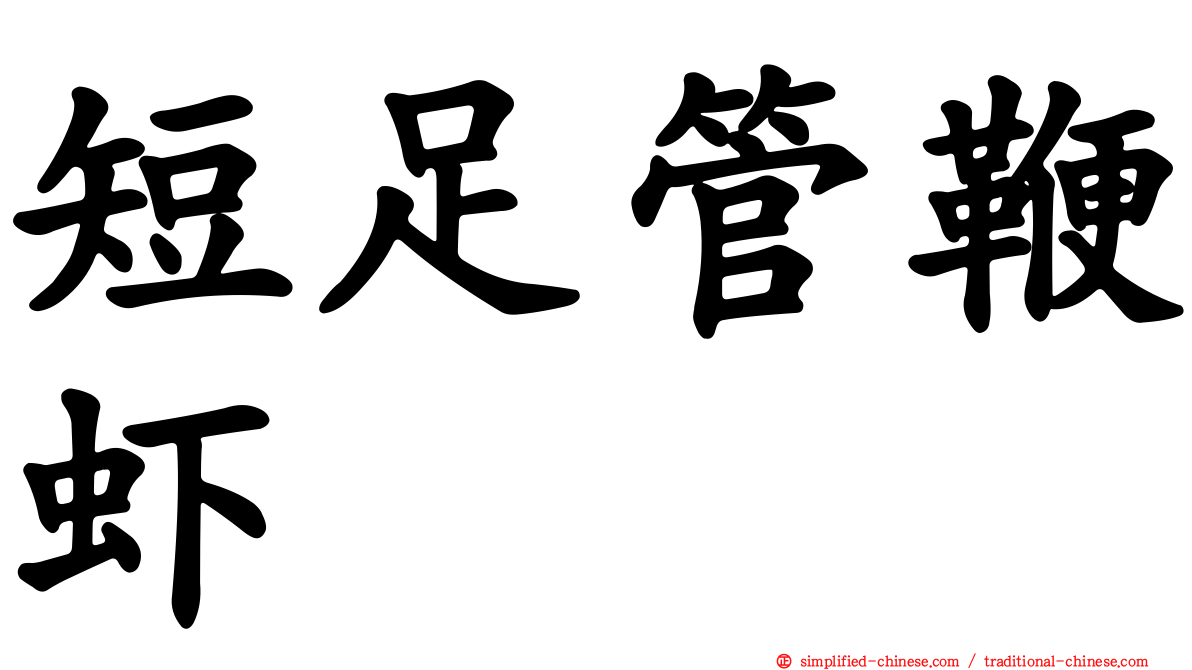 短足管鞭虾