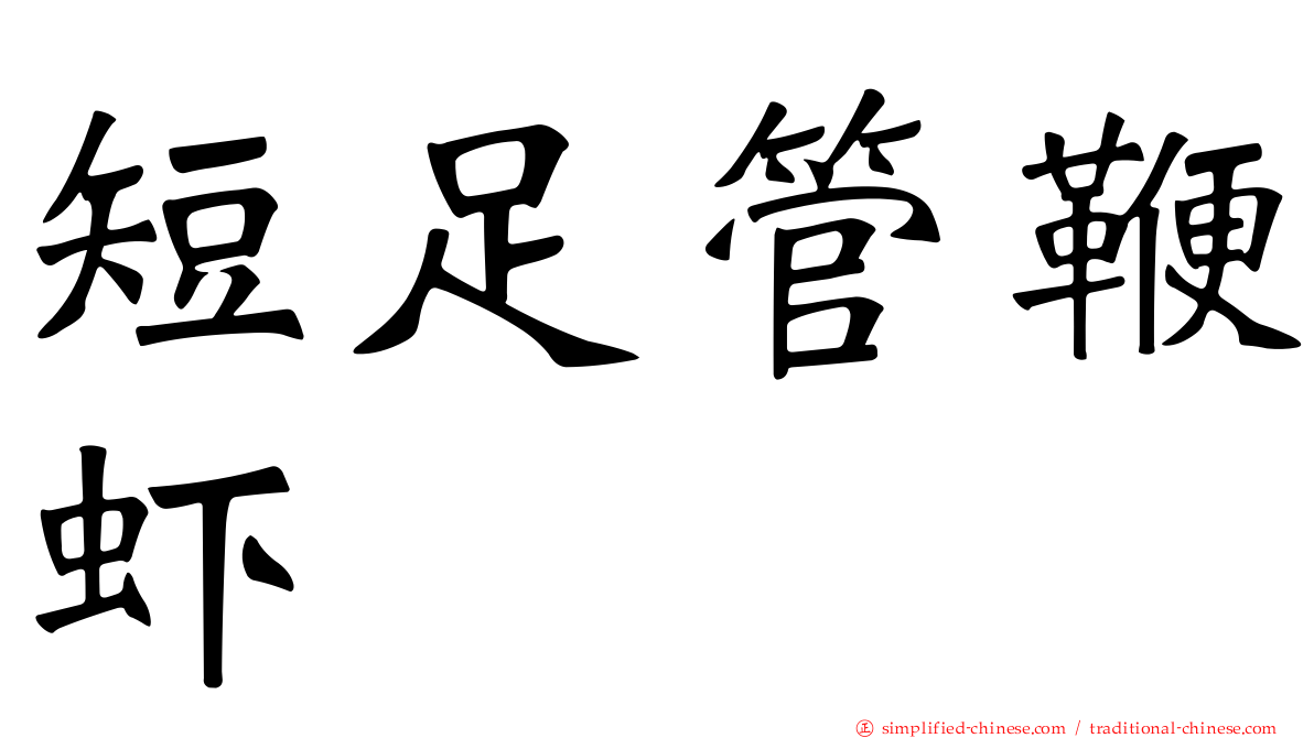短足管鞭虾