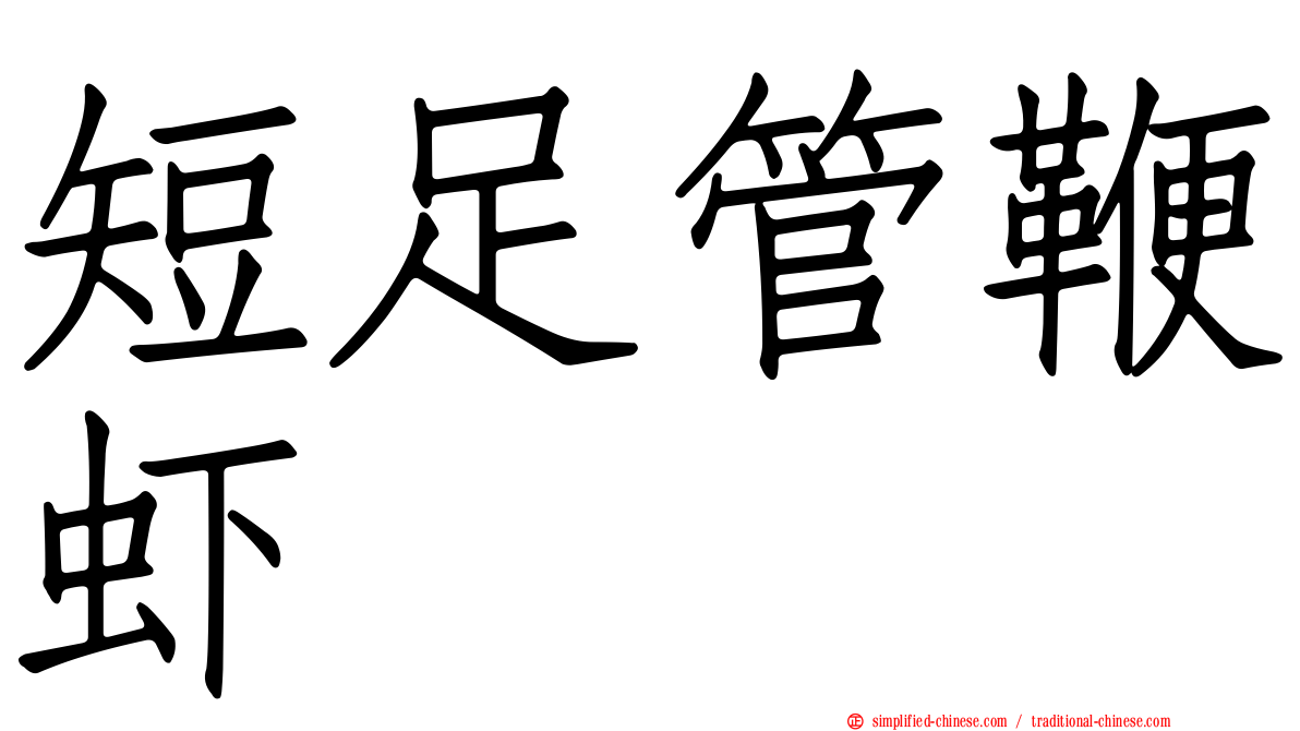 短足管鞭虾