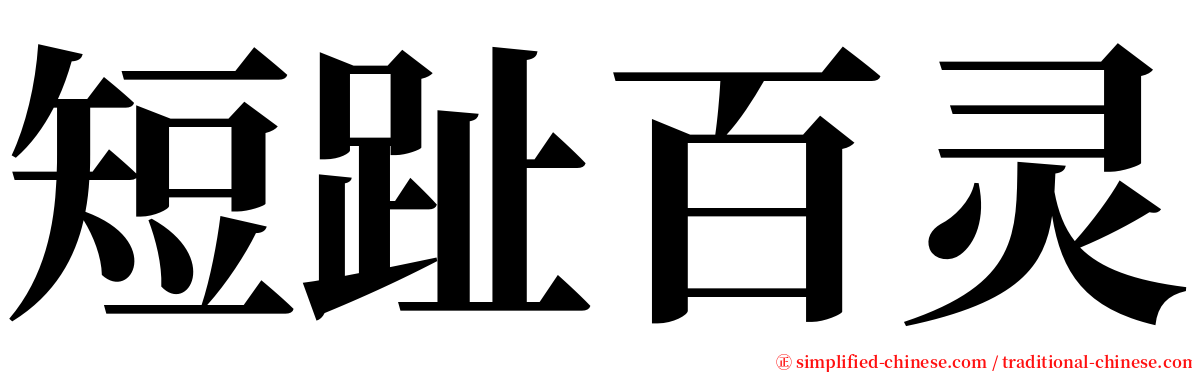 短趾百灵 serif font