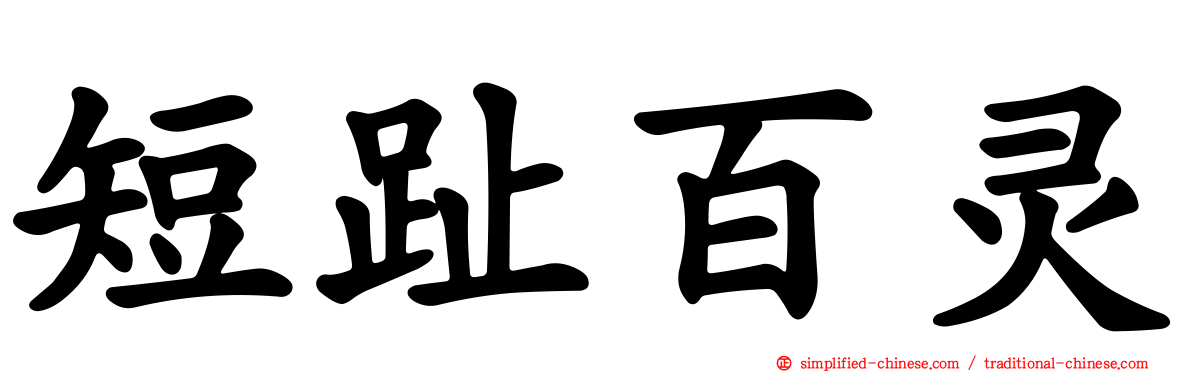 短趾百灵