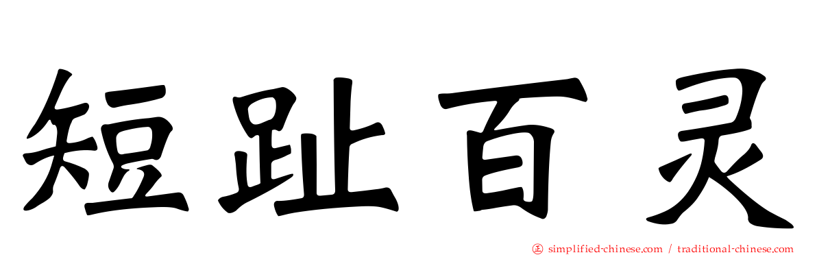 短趾百灵