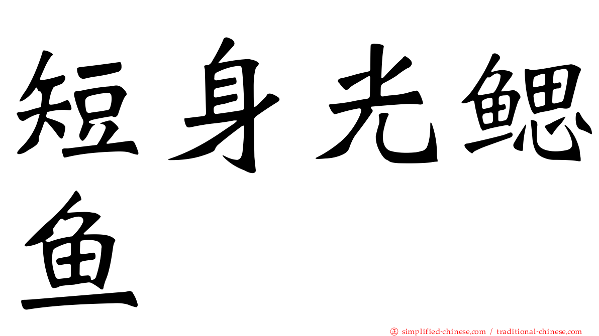短身光鳃鱼