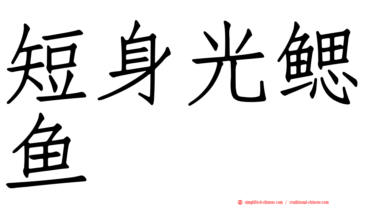 短身光鳃鱼