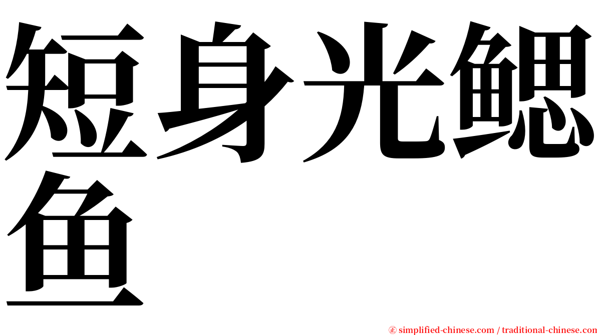 短身光鳃鱼 serif font