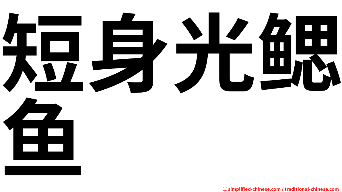 短身光鳃鱼