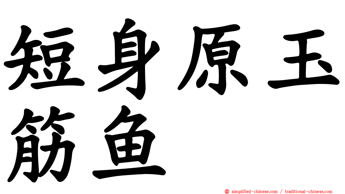 短身原玉筋鱼