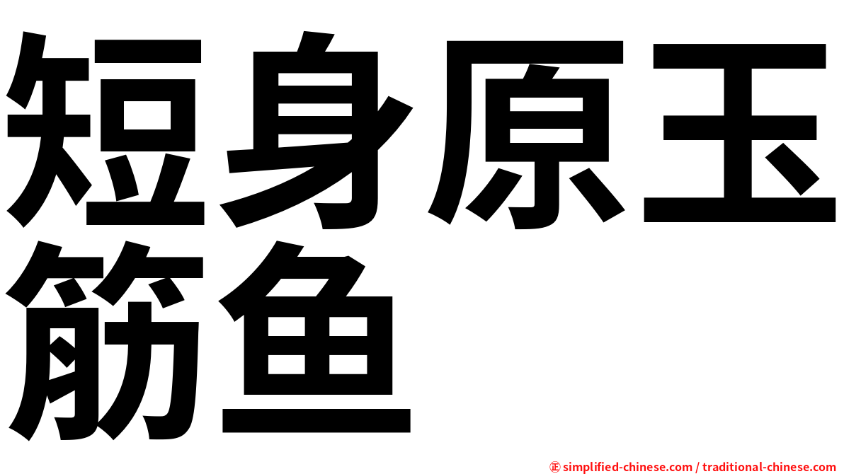 短身原玉筋鱼