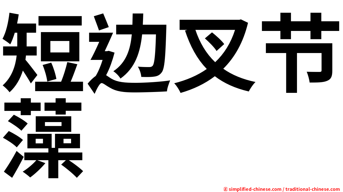 短边叉节藻