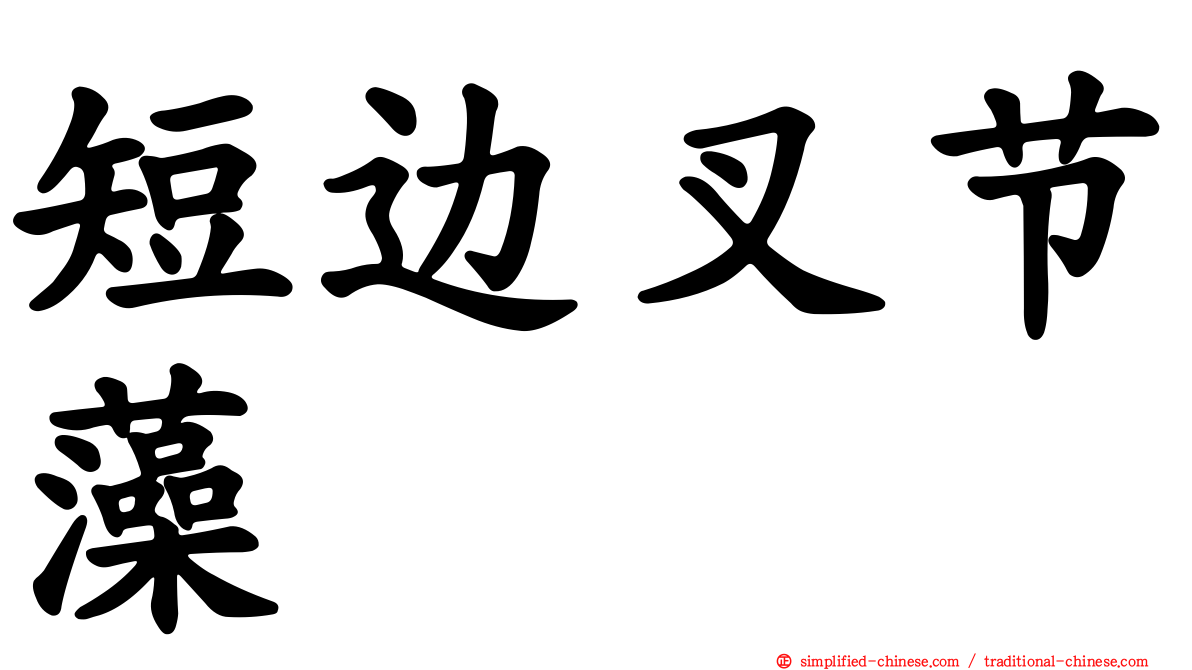 短边叉节藻