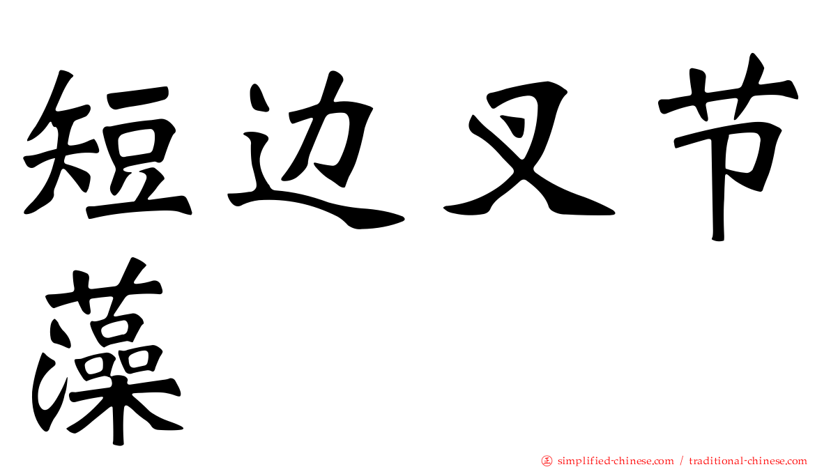 短边叉节藻
