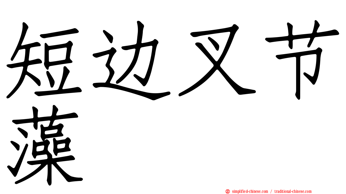 短边叉节藻