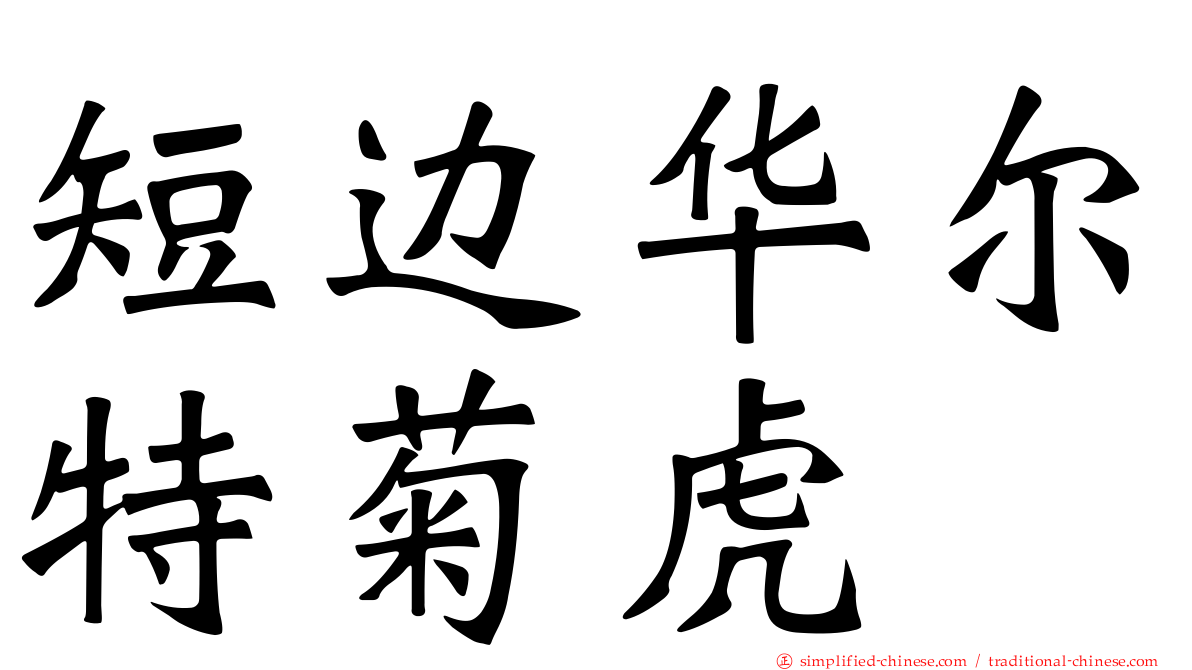 短边华尔特菊虎