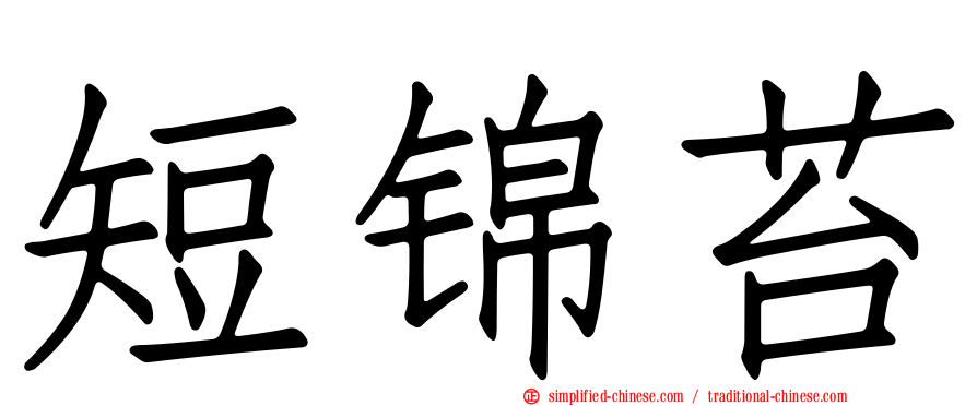 短锦苔