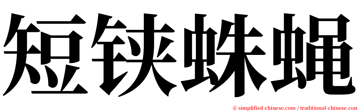 短铗蛛蝇 serif font