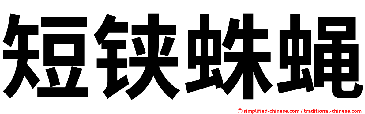 短铗蛛蝇