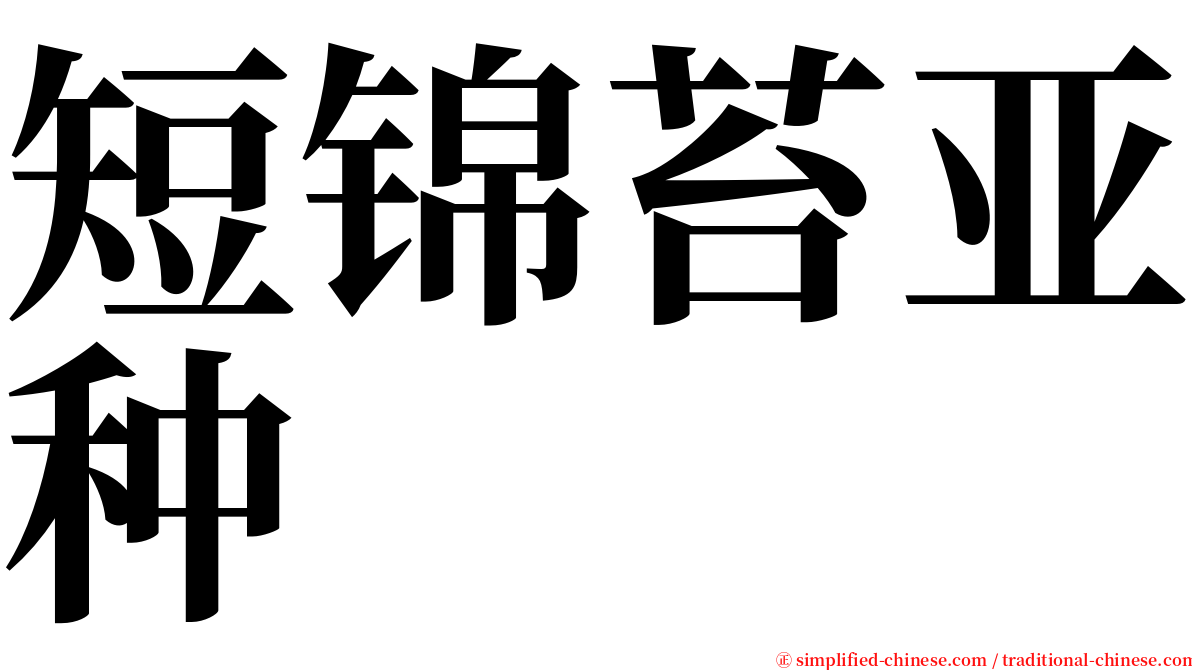 短锦苔亚种 serif font