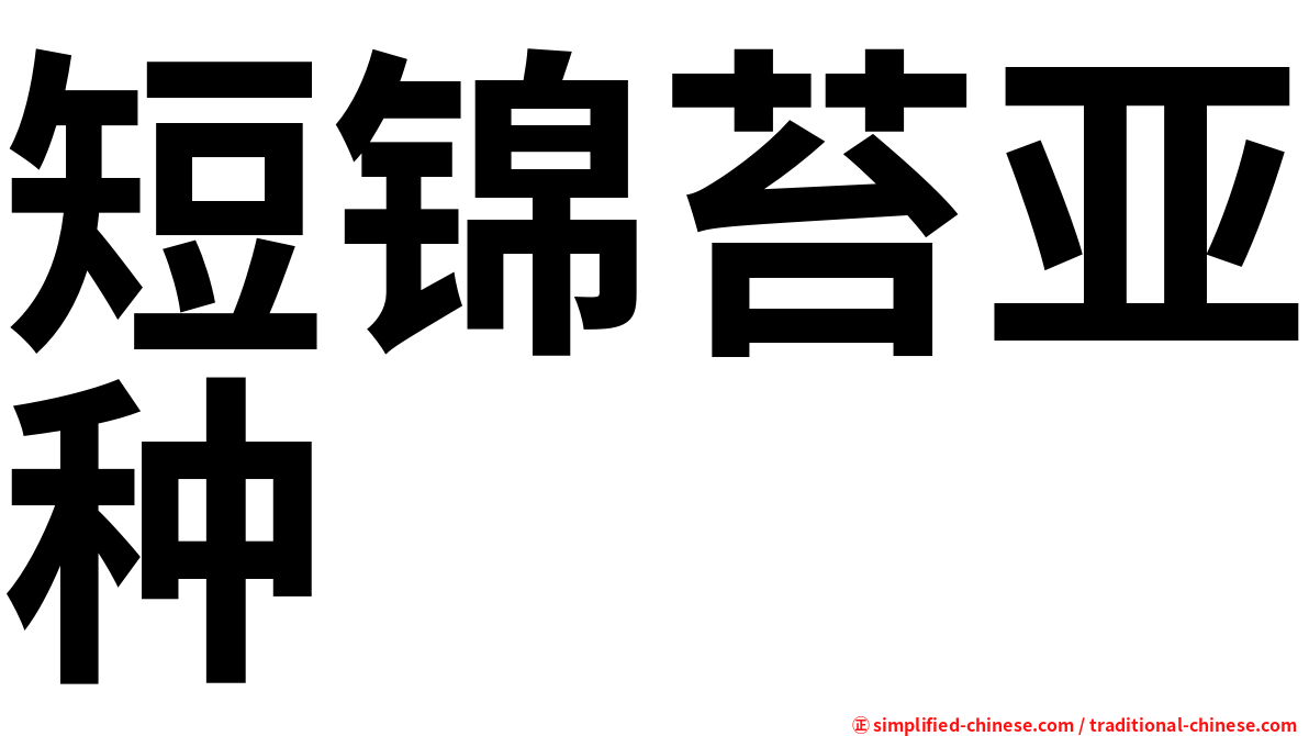 短锦苔亚种