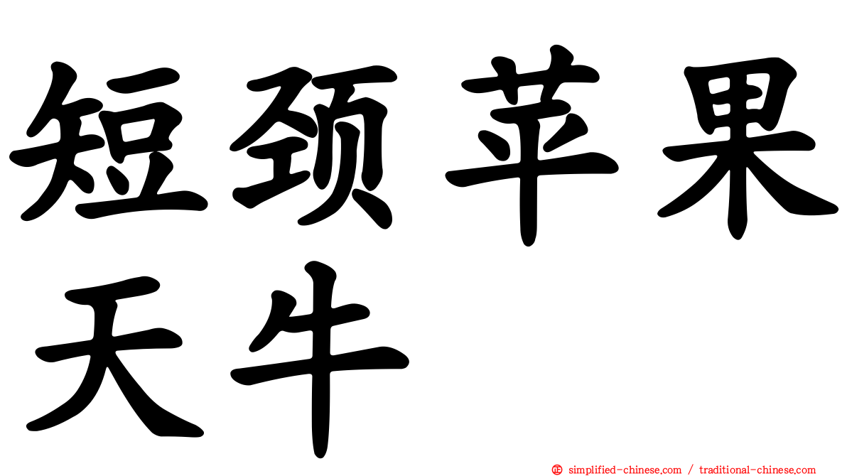 短颈苹果天牛