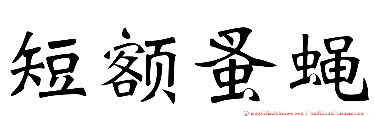 短额蚤蝇