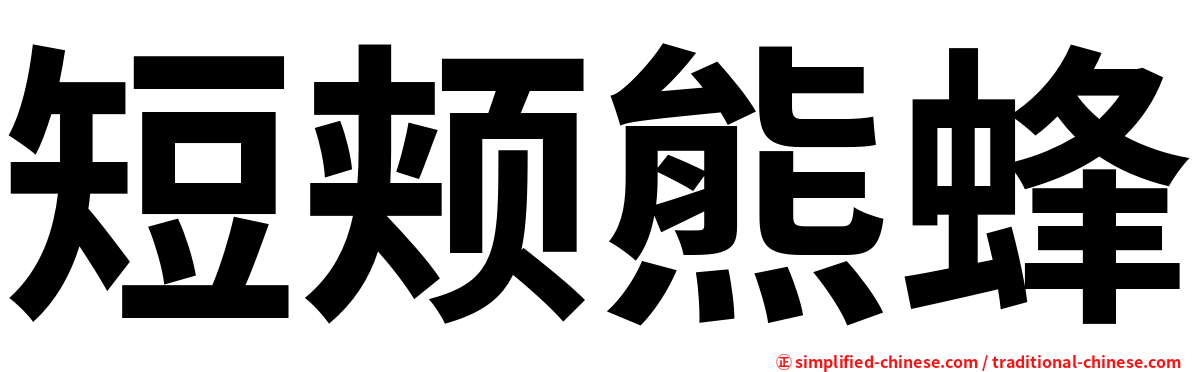 短颊熊蜂