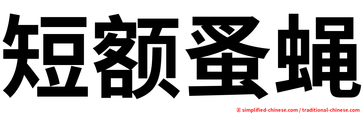 短额蚤蝇