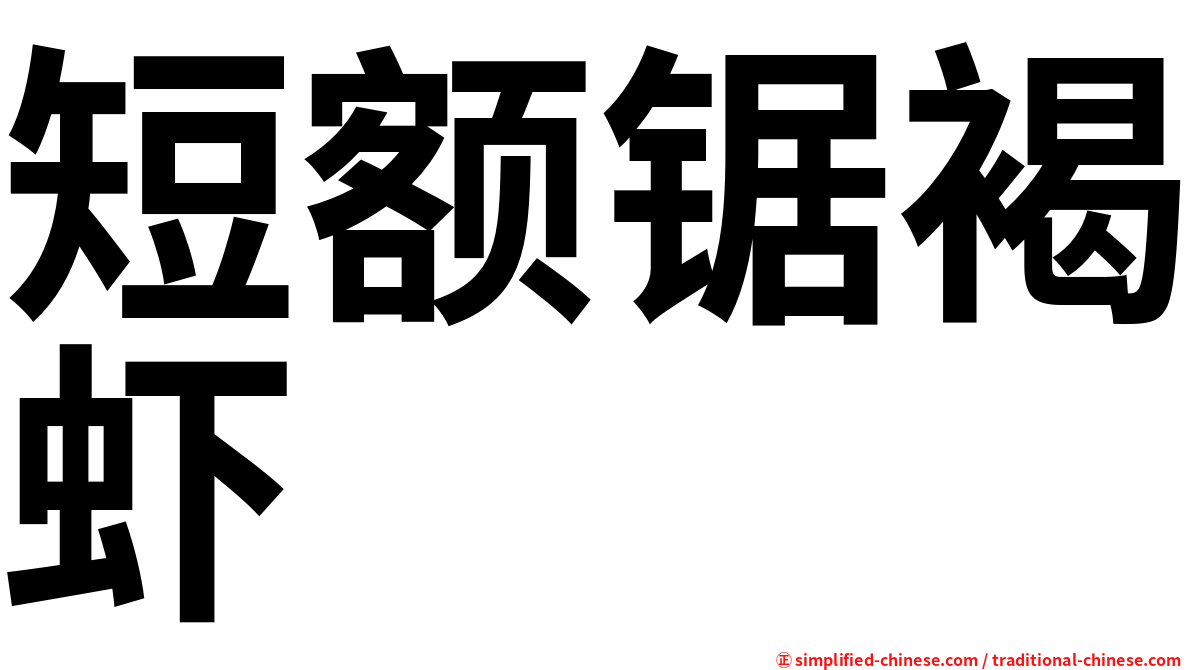 短额锯褐虾