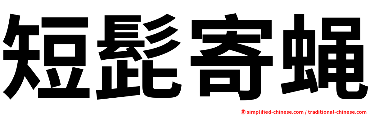 短髭寄蝇